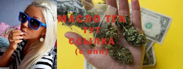 прущие грибы Ельня