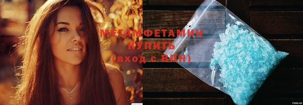 прущие грибы Ельня