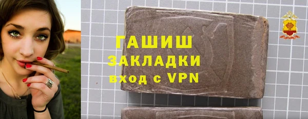 прущие грибы Ельня