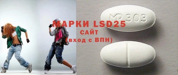 прущие грибы Ельня