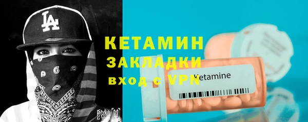 прущие грибы Ельня