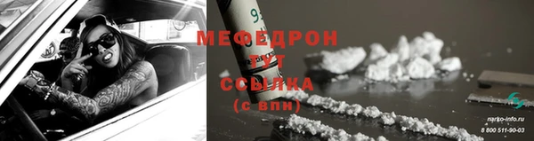 прущие грибы Ельня