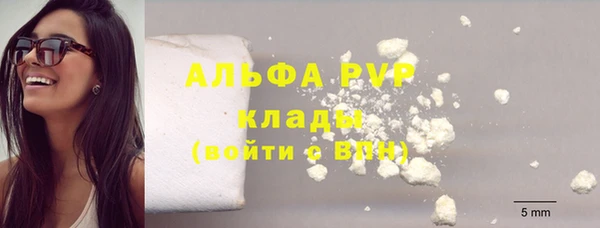 прущие грибы Ельня