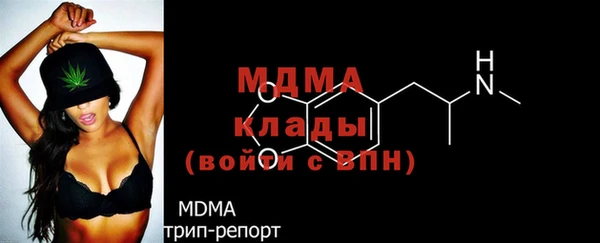 прущие грибы Ельня