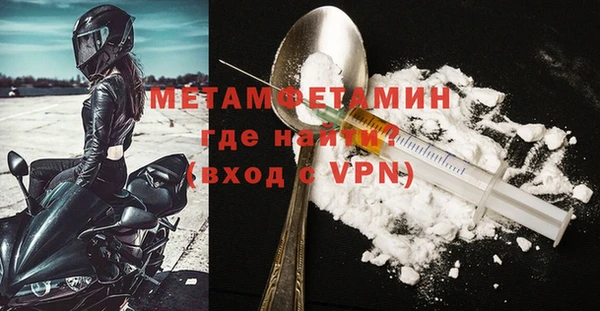 прущие грибы Ельня
