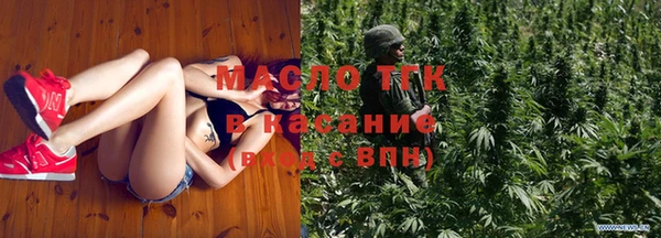 прущие грибы Ельня