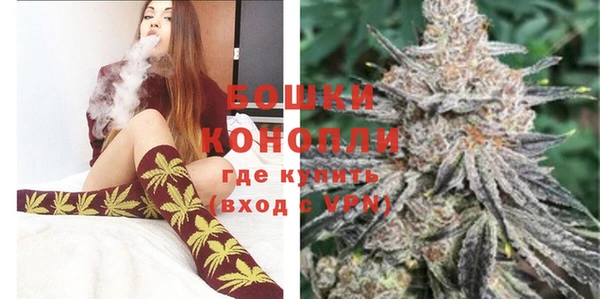 прущие грибы Кинешма