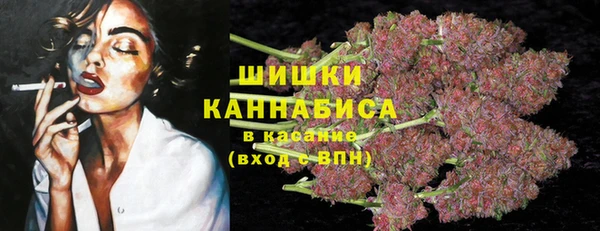 прущие грибы Ельня