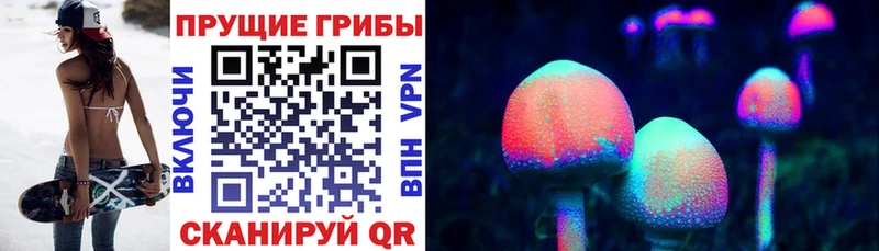 дарнет шоп  Богородск  Псилоцибиновые грибы мухоморы 
